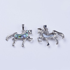 Abalone Shell/Paua Shell Pendants&nbsp;SSHEL-L008-09P