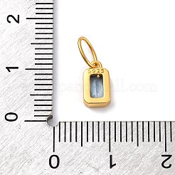 925 Sterling Silver Cubic Zirconia Charms&nbsp;STER-NH0014-01G-03