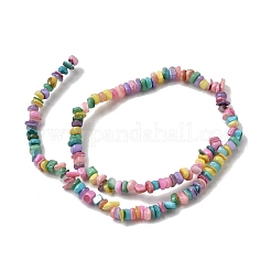 Natural Freshwater Shell Beads&nbsp;SHEL-B003-01I