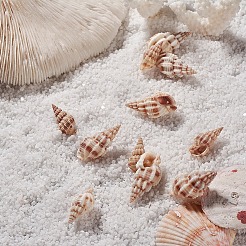 Spiral Shell Beads&nbsp;BSHE-YW0001-02