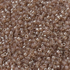 MIYUKI Delica Beads&nbsp;X-SEED-J020-DB0102