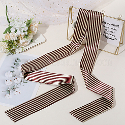 Polyester Striped Belts&nbsp;AJEW-WH20072-59B