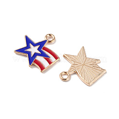 Independence Day Alloy Enamel Pendants&nbsp;ENAM-K067-43