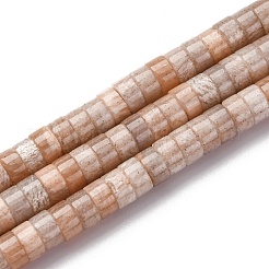 Natural Sunstone Beads Strands&nbsp;G-Z006-C44