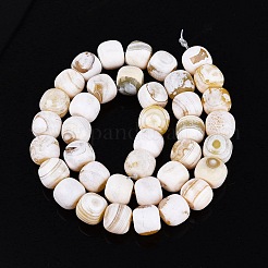 Natural Fire Crackle Agate Beads Strands&nbsp;G-Q606-94A