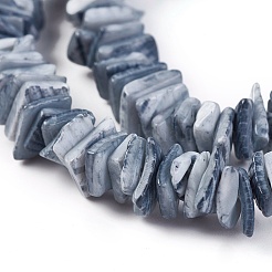 Natural Shell Beads Strands&nbsp;X-BSHE-I008-01