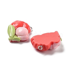 Spring Theme Opaque Resin Pendants&nbsp;LS-RESI-R444-04G