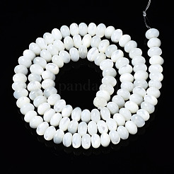 Natural Trochid Shell/Trochus Shell Beads Strands&nbsp;SSHEL-S266-017A