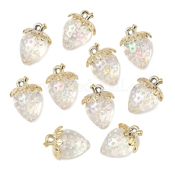 10Pcs Transparent Acrylic Pendants&nbsp;MACR-FS0002-08A