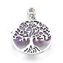 Alloy European Dangle Charms&nbsp;PALLOY-JF00355-01