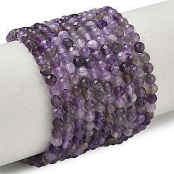 Natural Amethyst Beads Strands&nbsp;G-A252-A03-01A