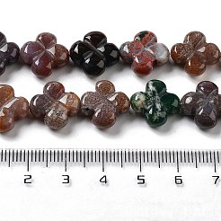 Natural Indian Agate Beads Strands&nbsp;G-P520-A04-01