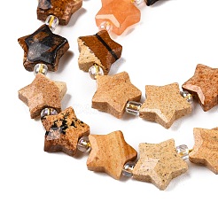 Natural Picture Jasper Beads Strands&nbsp;G-T138-189