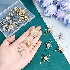 20Pcs 2 Colors Alloy Pendants&nbsp;FIND-FH0003-49