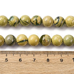 Natural Verdite Stone Beads Strands&nbsp;G-C242-03-8mm