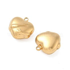 304 Stainless Steel Charms&nbsp;STAS-P404-11G