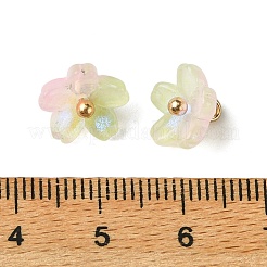 Alloy Acrylic Pendants&nbsp;TACR-P016-01G-16
