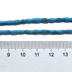 Dyed Synthetic Turquoise Beads Strands&nbsp;G-D356-A01-02