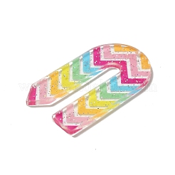 Acrylic Pendants&nbsp;LS-OACR-H113-01I