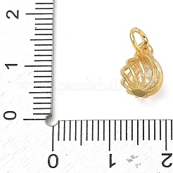 Brass Micro Pave Clear Cubic Zirconia Charms&nbsp;CU-CBABB5B-09G