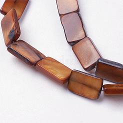 Natural Freshwater Shell Beads Strands&nbsp;BSHE-L036-25