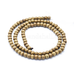 Natural Camphor Wood Beads Strands&nbsp;WOOD-P011-10-8mm
