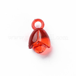 Transparent Acrylic Pendants&nbsp;MACR-N013-031