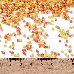 Baking Paint Glass Seed Beads&nbsp;X-SEED-S042-05B-44