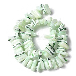 Dyed Natural Trochus Shell Beads Strands&nbsp;SSHEL-C013-09I
