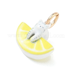 Spray Painted Brass Pendants&nbsp;KK-CBAE20A-02A-G
