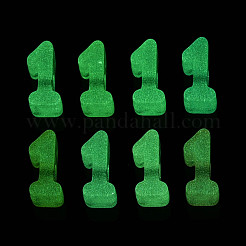Luminous Frosted Transparent Acrylic Beads&nbsp;TACR-T029-21B