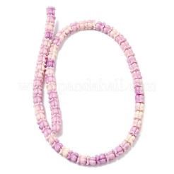 Synthetic Coral Dyed Carved Beads Strands&nbsp;SHEL-G023-01B