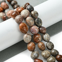 Natural Fossil Coral Beads Strands&nbsp;G-G117-A01-02