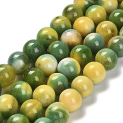 Dyed Natural Agate Beads Strands&nbsp;G-G203-09G-10mm
