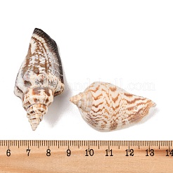Natural Conch Shell Beads&nbsp;X-BSHE-O007-57