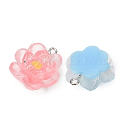 Transparent Resin Pendants&nbsp;RE-CBA5F64-02