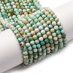 Natural Peruvian Turquoise(Jasper) Beads Strands&nbsp;G-A276-C13-3mm