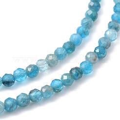 Natural Apatite Beaded Necklaces&nbsp;NJEW-JN02990-03