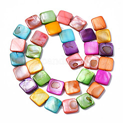 Natural Freshwater Shell Beads Strands&nbsp;SHEL-S278-020