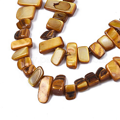 Natural Trochid Shell/Trochus Shell Beads Strands&nbsp;SHEL-S258-082-B09