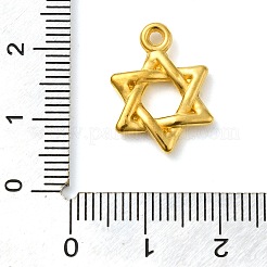 Ion Plating(IP) 304 Stainless Steel Pendants&nbsp;STAS-M070-14G