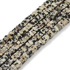 Natural Dalmatian Jasper Beads Strands&nbsp;G-I394-A03