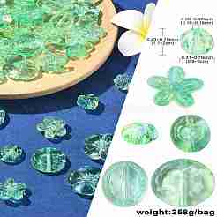 250G Transparent Acrylic Beads&nbsp;OACR-CJ0002-33B