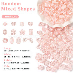 100G Transparent Acrylic Beads&nbsp;OACR-TA0003-20B