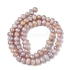 Natural Cultured Freshwater Pearl Beads Strands&nbsp;PA-CBAC463-12