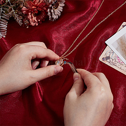1Pc Alloy Glass Photo Frame Living Memory Floating Locket Pendant Rolo Chain Necklaces for Women&nbsp;NJEW-BM0001-01A