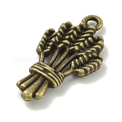 Tibetan Style Alloy Pendants&nbsp;TIBE-I026-6015AB