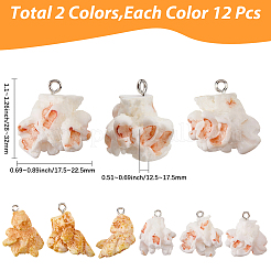 24Pcs 2 Colors Plastic Pendants&nbsp;KY-SC0002-66