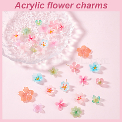 30Pcs 15 Styles Plastic Beads&nbsp;KY-GA0001-33