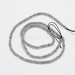 Natural Labradorite Bead Strands&nbsp;G-I156-04-3x2